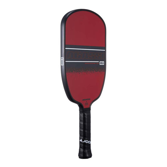 JOOLA Andre Agassi Champion 12mm Pickleball Paddle