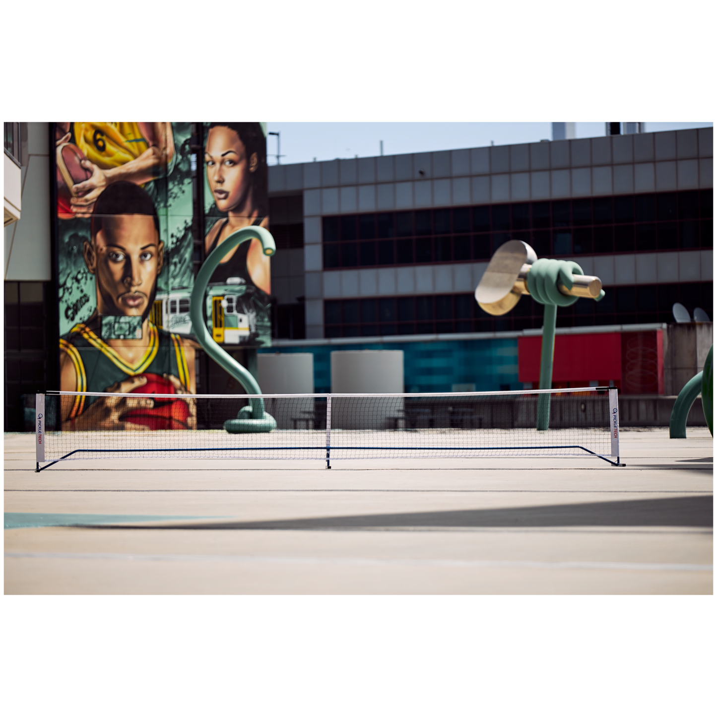 Pickletech Pickleball Net