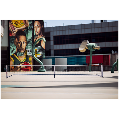 Pickletech Pickleball Net