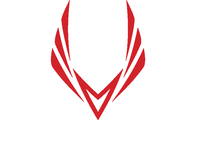 Selkirk Sport Vanguard