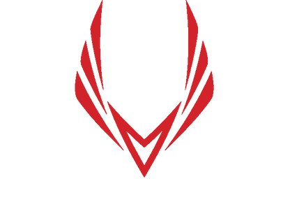 Selkirk Sport Vanguard