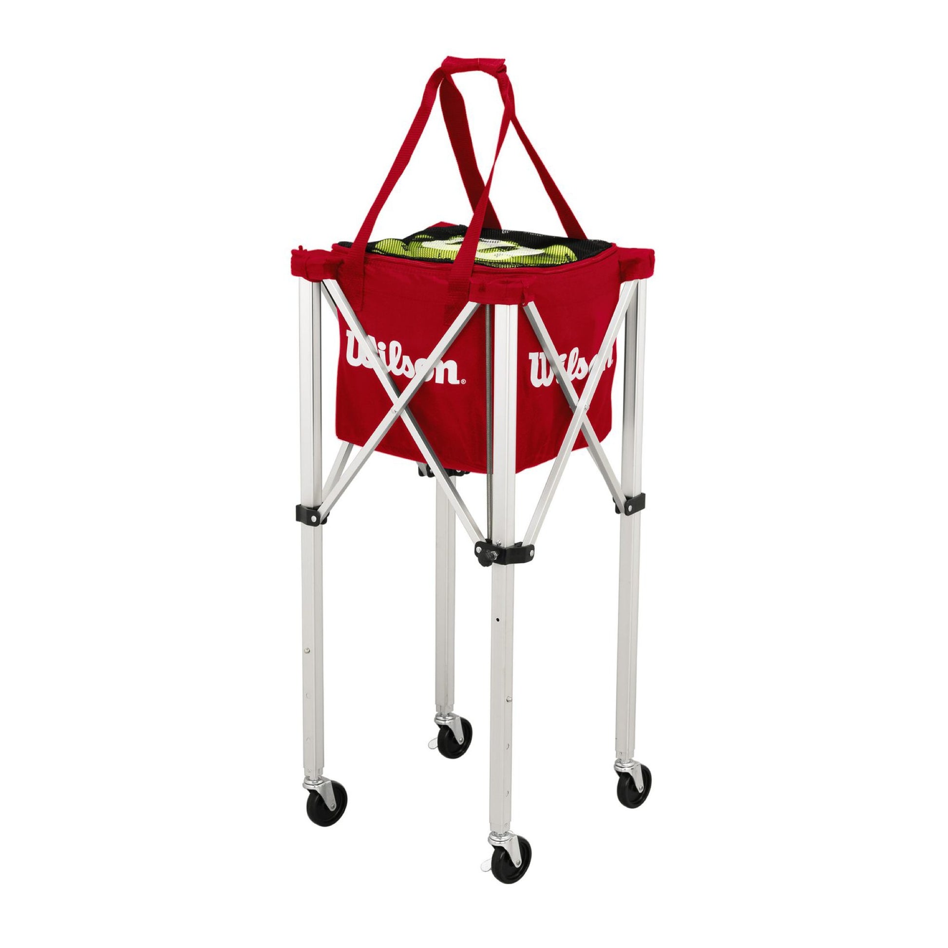 Wilson teaching cart and bag