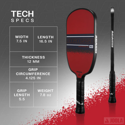 Joola Agassi/Graf Pickleball Paddle Champion Set