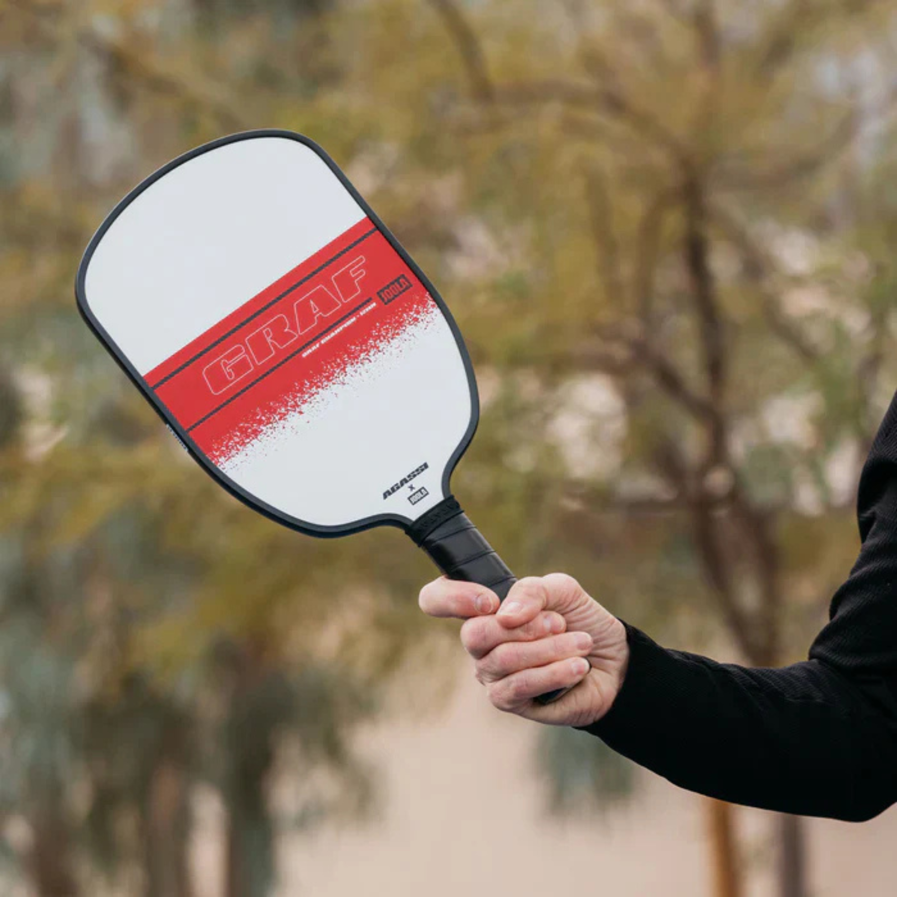 Joola Agassi/Graf Pickleball Paddle Champion Set